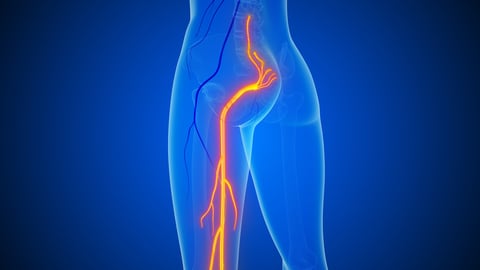 This stock image of sciatic nerve pain focusing on the spine, lower back, and nerve pathways. The image illustrates physical discomfort, inflammation, and the connection between the lumbar spine and nerve pain extending to the legs.